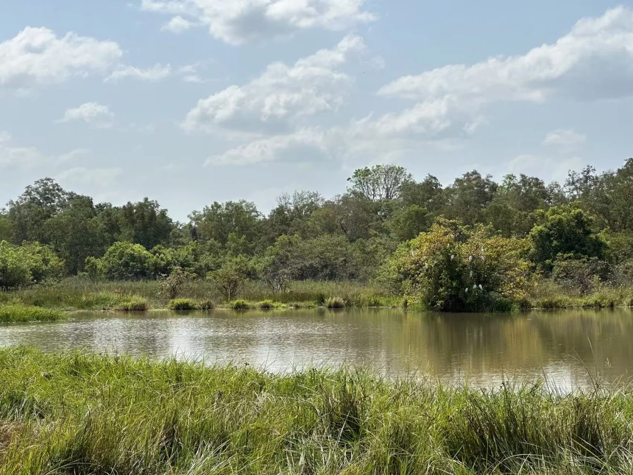 A view across Mole National Park, Ghana