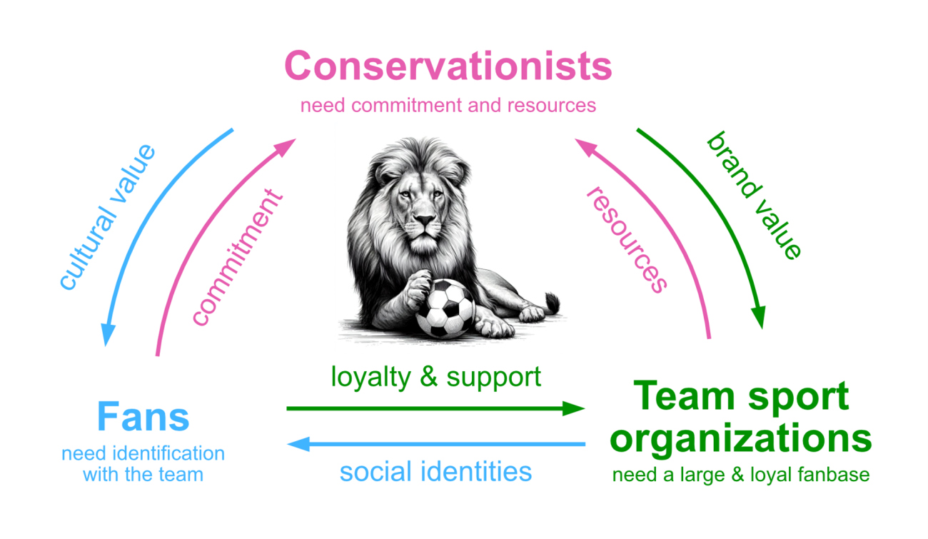 Diagram showing the link between conservationists, fans and sports organisations