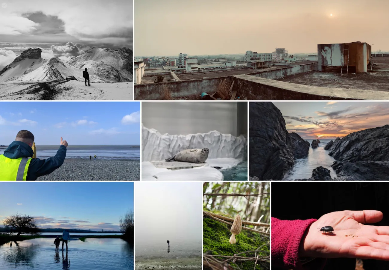 A selection of images submitted to the competition