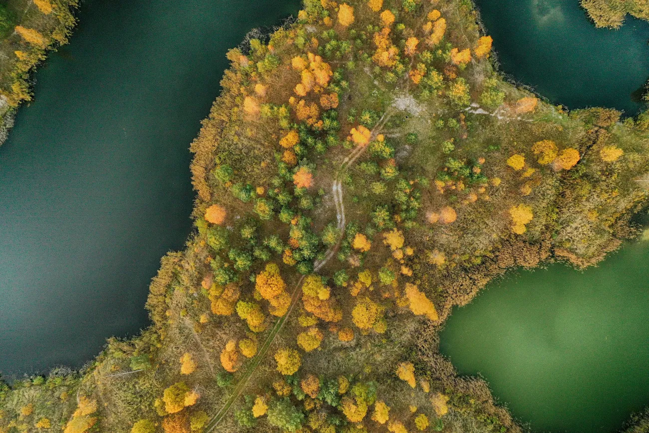 Aerial shot of a river surrounded by trees - high in biodiversity