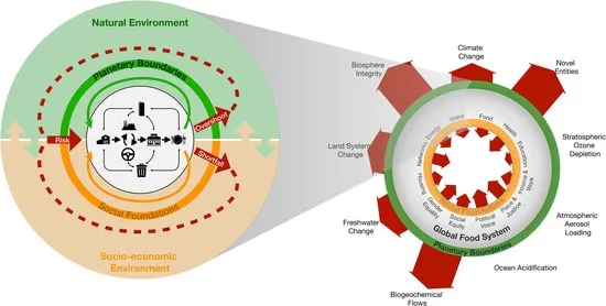 Diagram of the doughnut as explained in the article