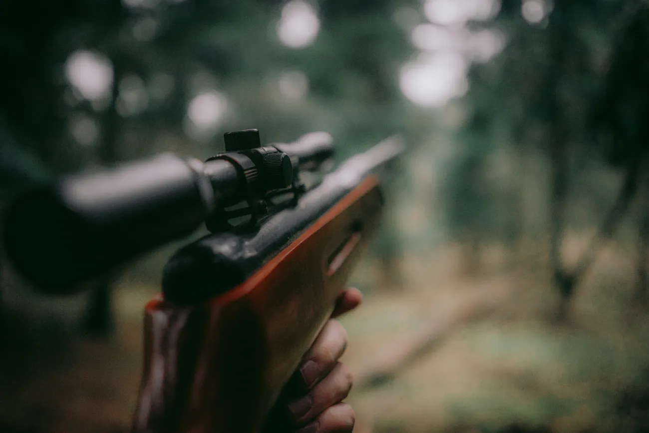 Hunting rifle pointing towards wooded area