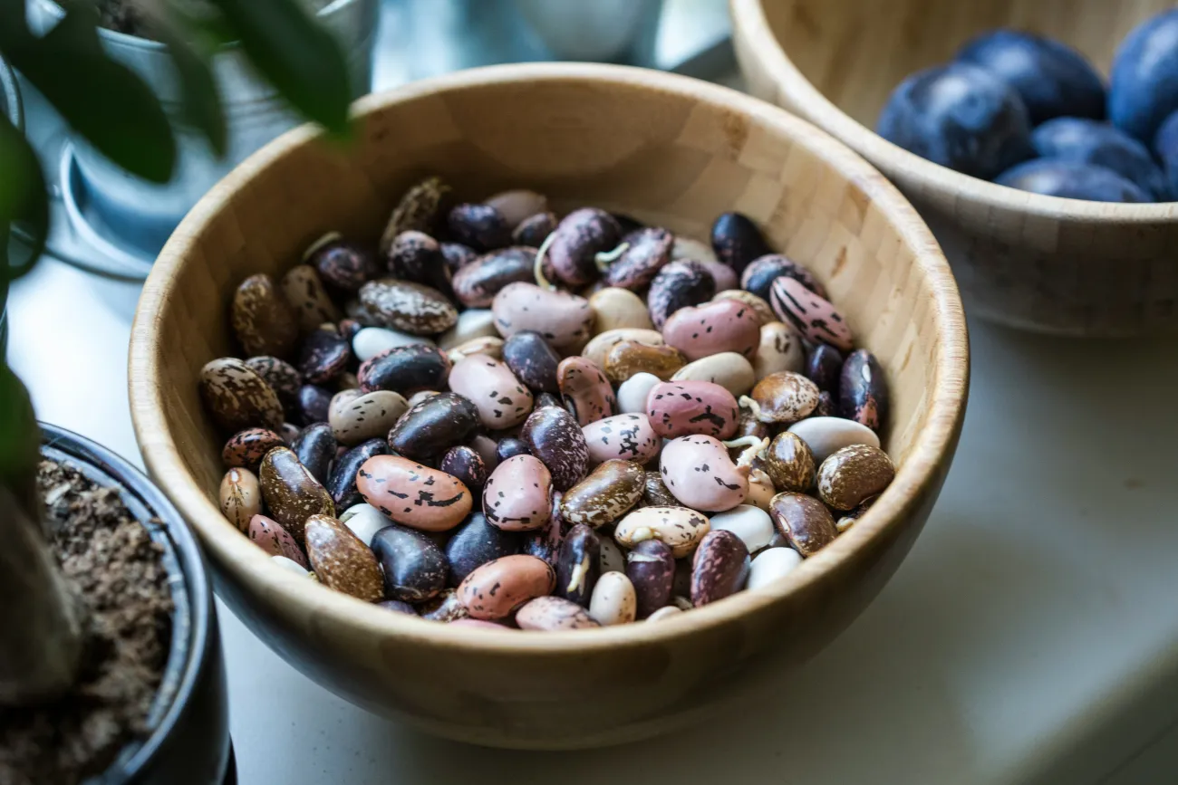 A bowl with a variety of different beans