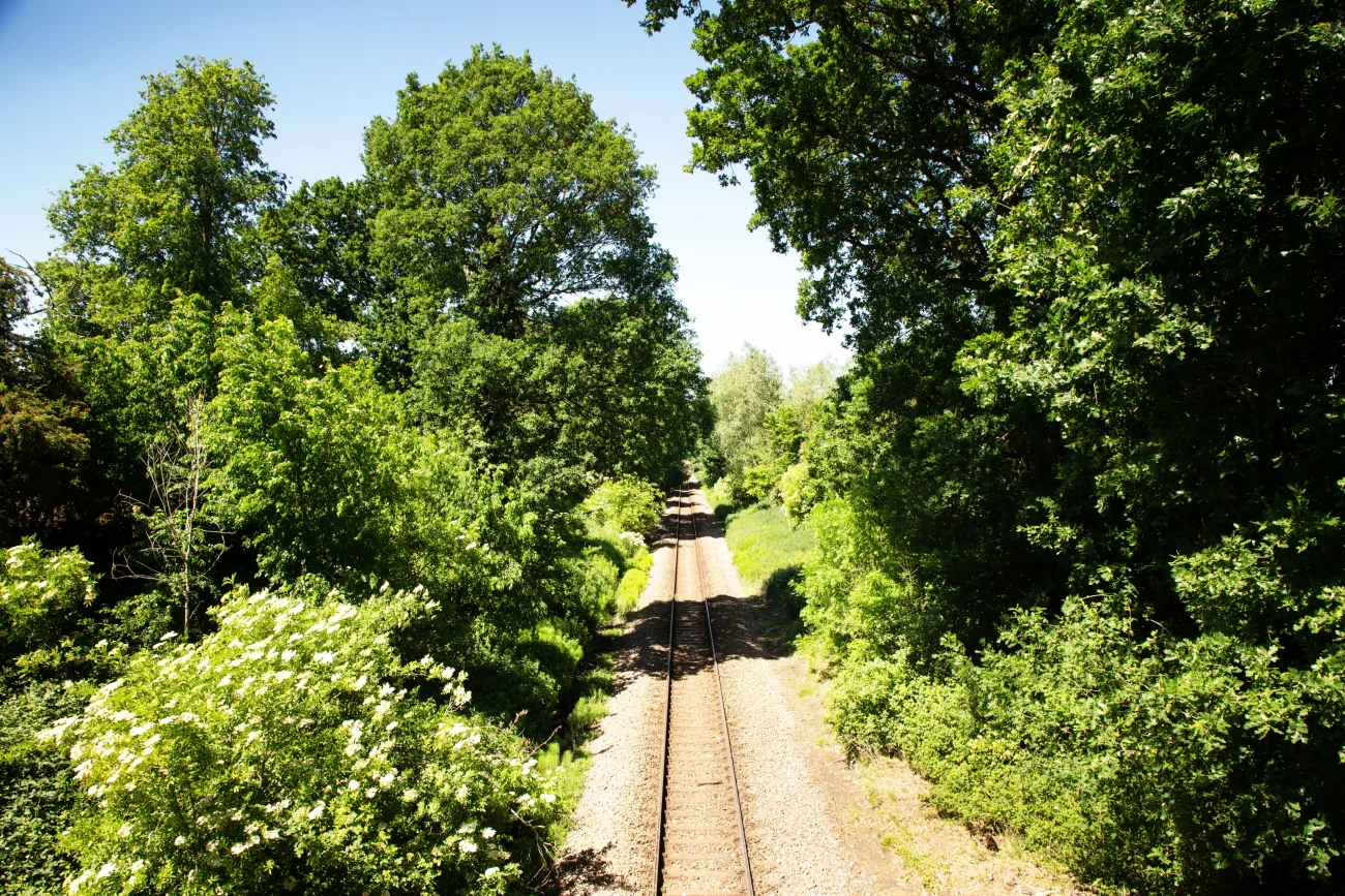 Railway track cutting through the countryside showing green trees