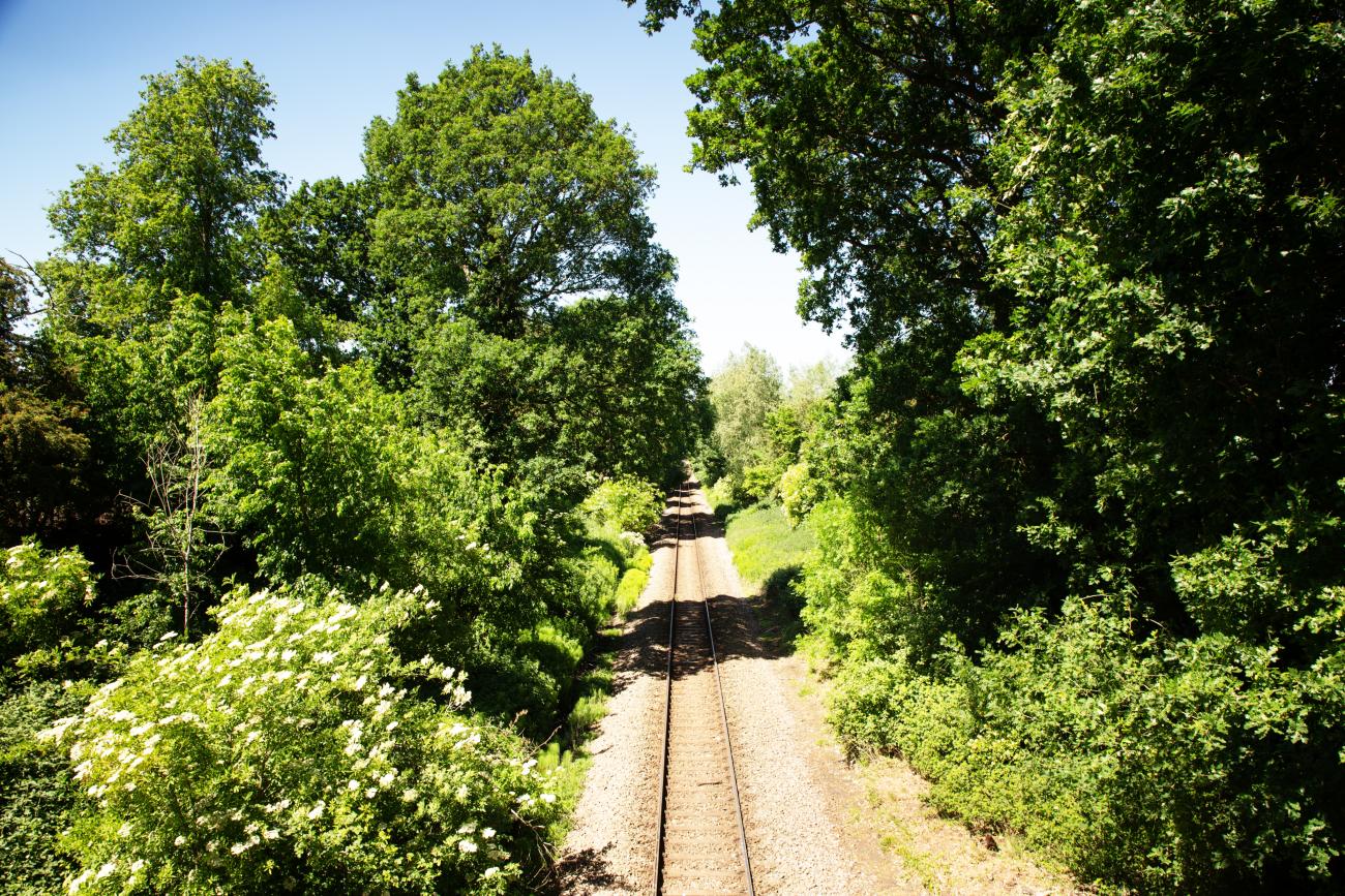 Railway track cutting through the countryside showing green trees