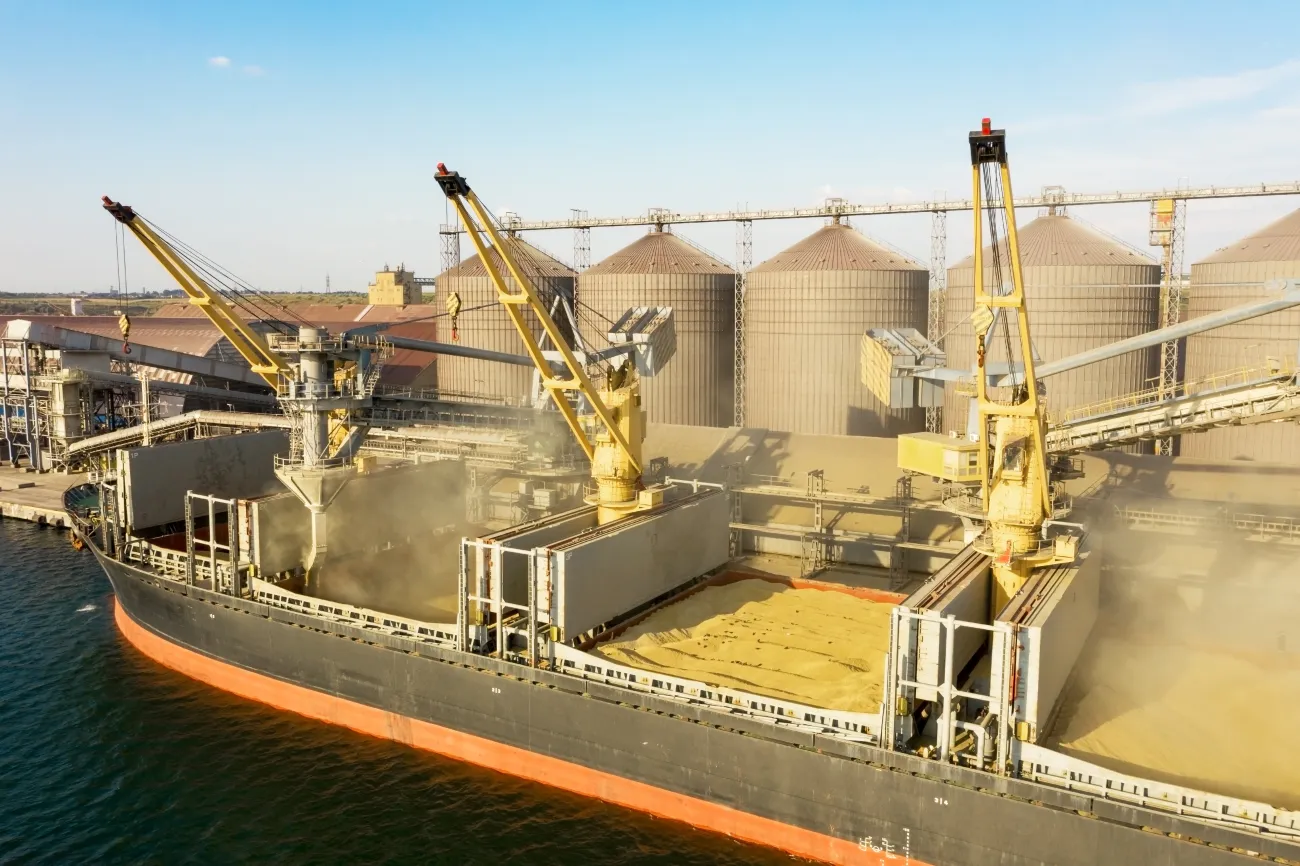 Loading grain into holds of sea cargo vessel through an automatic line in seaport from silos of grain storage.