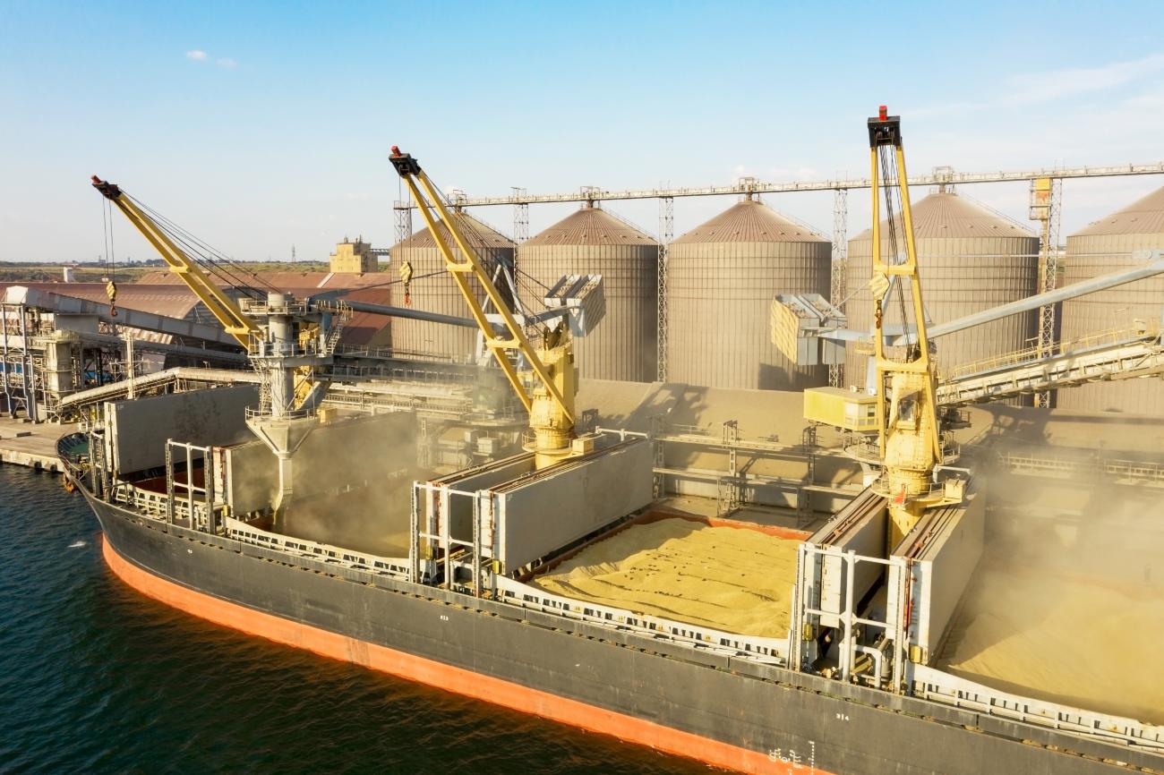 Loading grain into holds of sea cargo vessel through an automatic line in seaport from silos of grain storage.