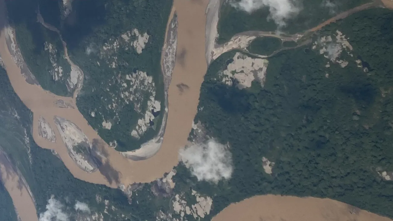 Aerial shot flying over area of Amazon where gold mining is taking place showing brown areas among the tree canopy