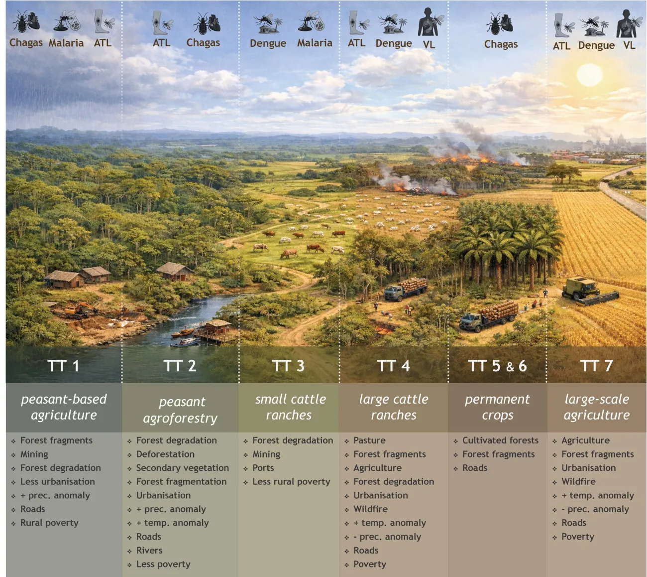 Conceptual illustration showing six Amazon land-use systems, from peasant-based agriculture and agroforestry to cattle ranching, permanent crops and large-scale agriculture. Each landscape is linked to different risks of Chagas disease, malaria, dengue, American tegumentary leishmaniasis (ATL) and visceral leishmaniasis (VL). The figure also highlights associated factors including forest fragmentation, degradation, roads, urbanisation, mining, climate anomalies and poverty.