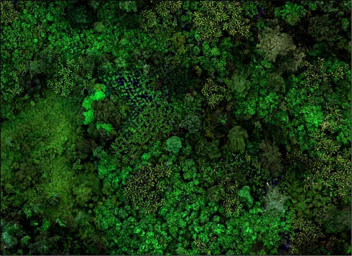 Mapping of land use/cover in tropical forests in Ghana showing a mixture of forest and cropland, especially banana plantations. 