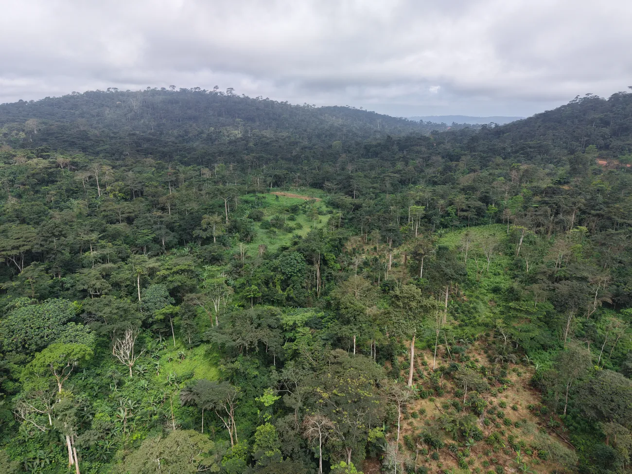 A landscape showing a forest-savanna transition area in Ghana highly affected by land cover conversion. 