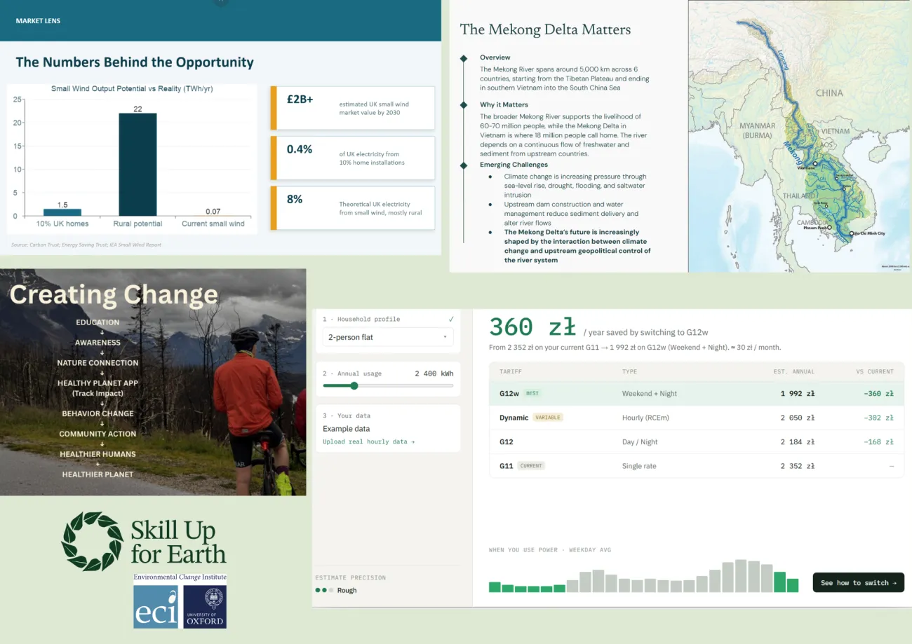 Selection of projects produced by the participants