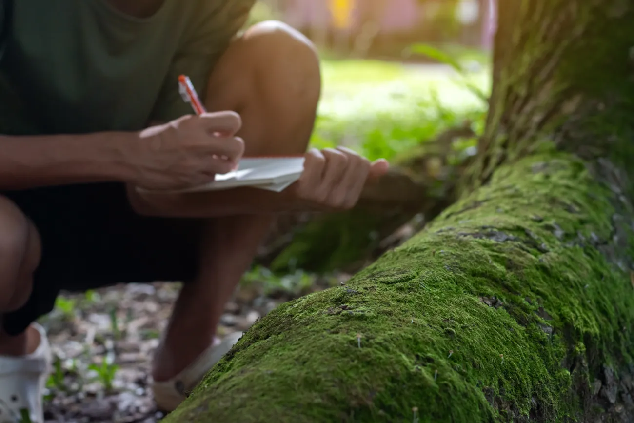 Close-up shot of vibrant green moss growing on a tree root with a blurry background of a researcher writing on a notebook during a botany field research