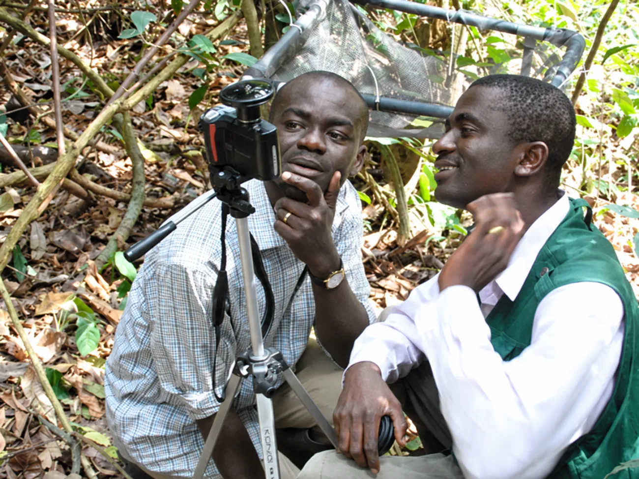 Researchers taking hemispherical photos in one of the study sites
