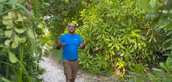 Professor Yadvinder Malhi walking through vegetation in the Maldives