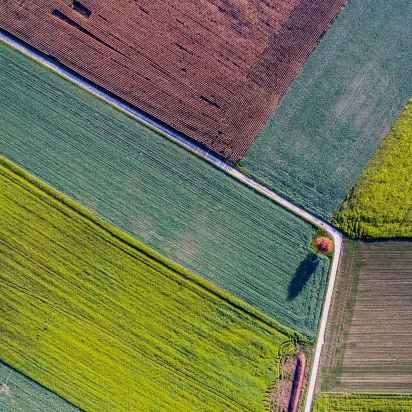 Aerial view of fields