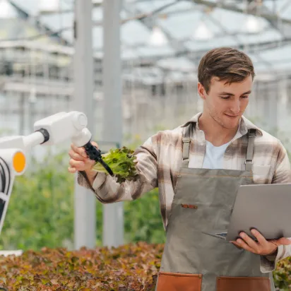 Farmer in greenhouse using his laptop to check the operation of a robotic arm with AI system showing smart agriculture technology at work