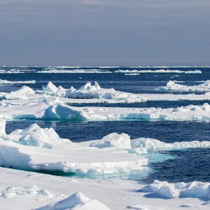 Sea ice in the Arctic north of Svalbard