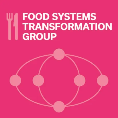 Pink logo with a knife and fork outline and the title 'Food Systems Transformation Group'